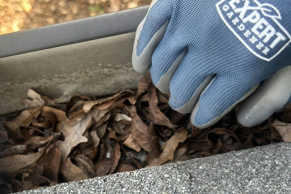 Gutter Cleaning Covington VA